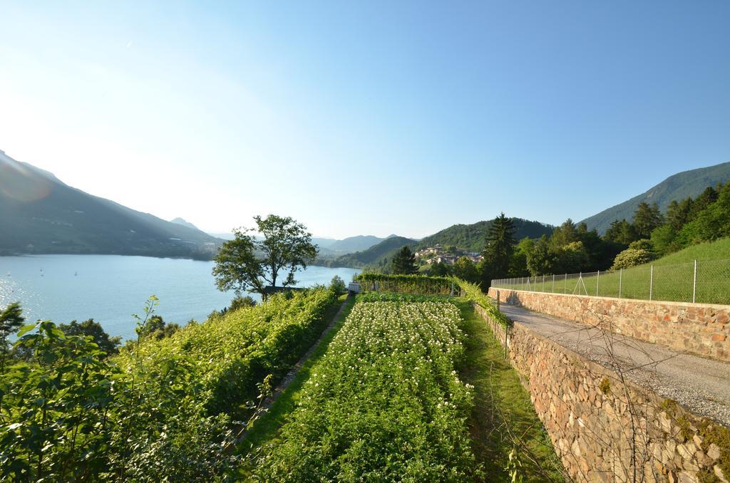 Trentino Oss Tenna